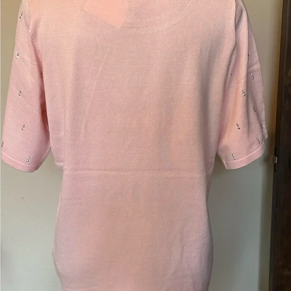 LAST ONE! Lovely short sleeved sweater-New with tag! - Picture 4 of 4